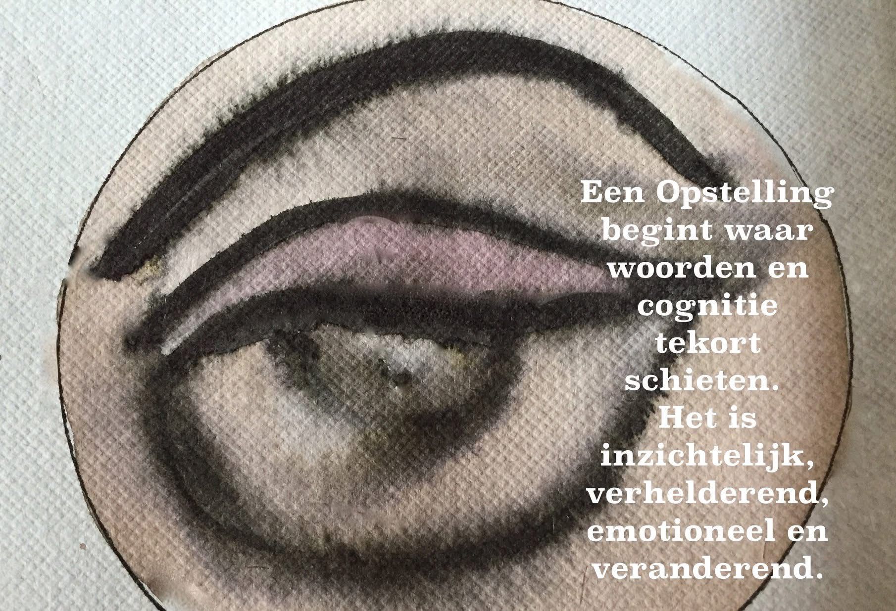 Systemic Healing – Verschillende Familie Opstellingen